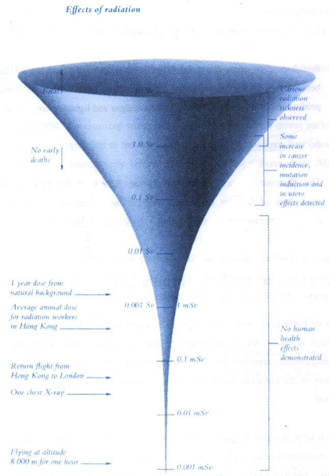 Effect of Radiation